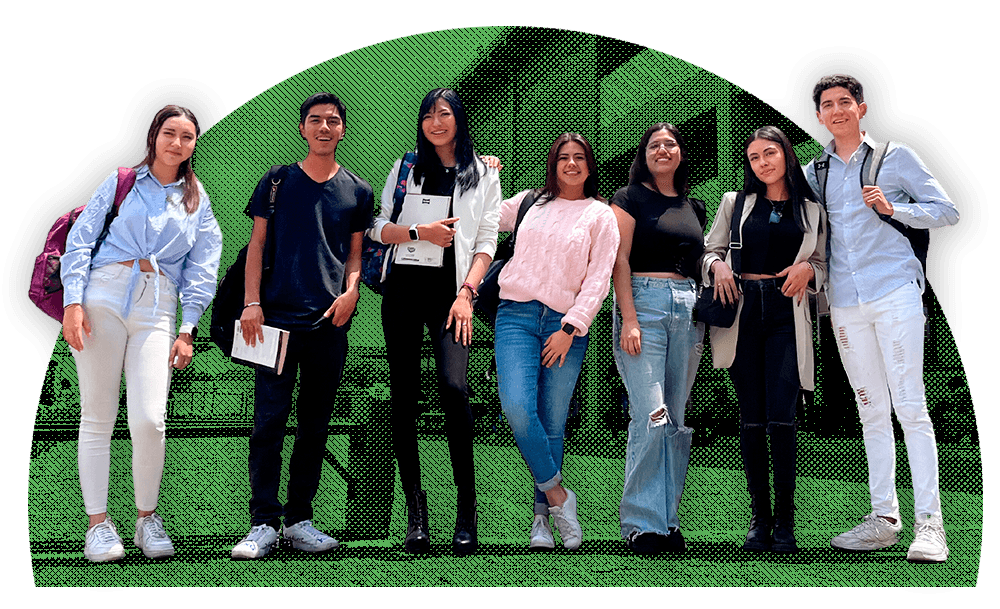 Plan de estudios IMA